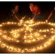  Diwali : Festival of Lights